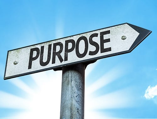 Creating Clarity of Purpose - The Fedcap Group